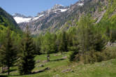 20120514_122609 Val Bodengo.jpg